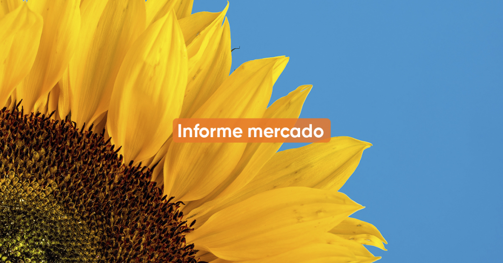 Informe de mercado <BR> OCTUBRE 2020