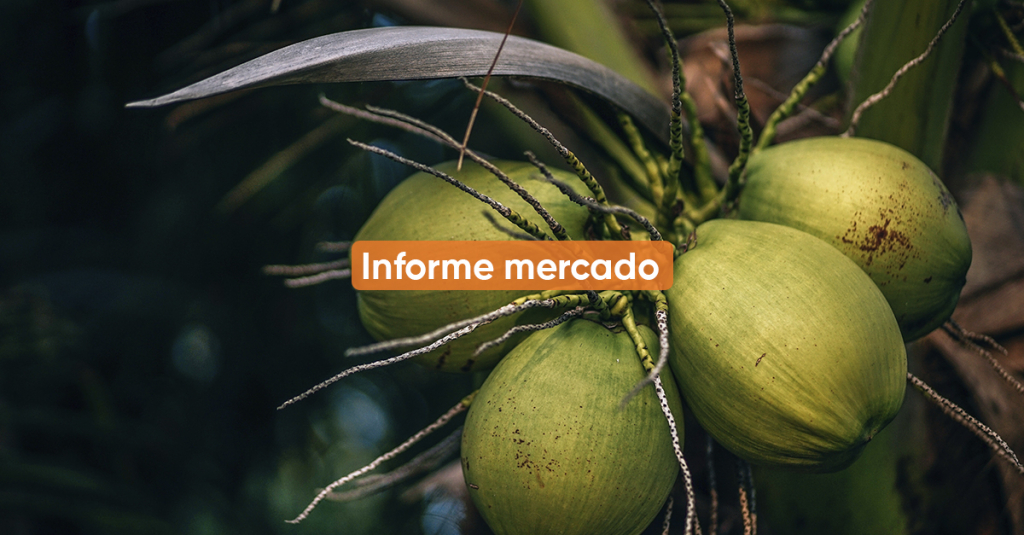 Informe de mercado <br> 2Q NOVIEMBRE 2020