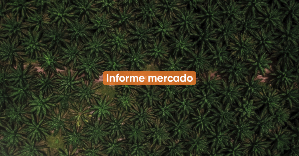 Informe Mercado AGOSTO