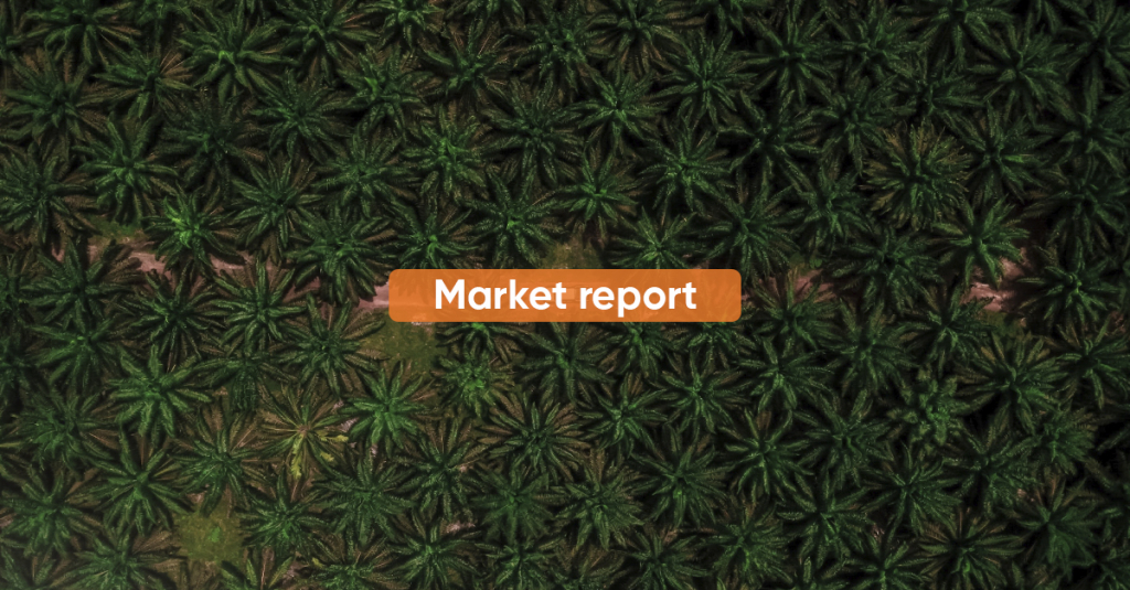 Market Report August