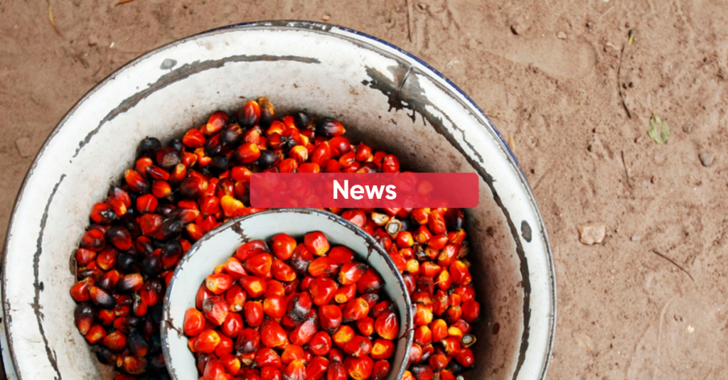 Palm Oil Progress Report