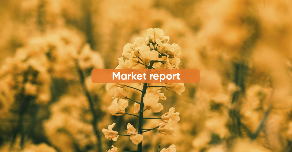Market Report NOVEMBER