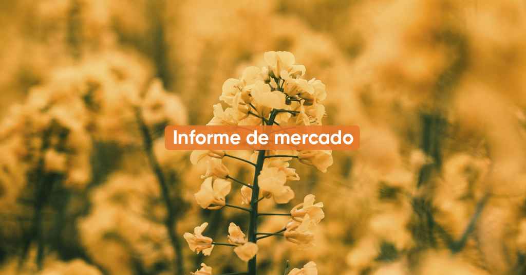 Informe de mercado NOVIEMBRE