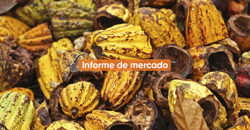 Informe de mercado DICIEMBRE