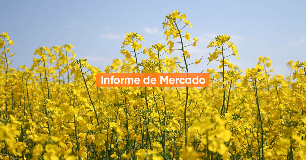 Informe de mercado FEBRERO 2022