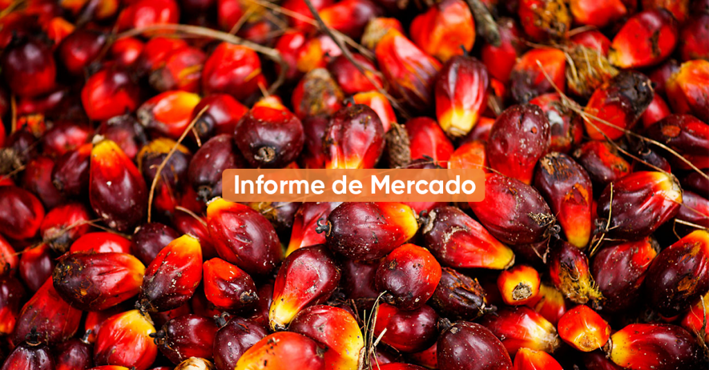 Informe de mercado ABRIL 2022