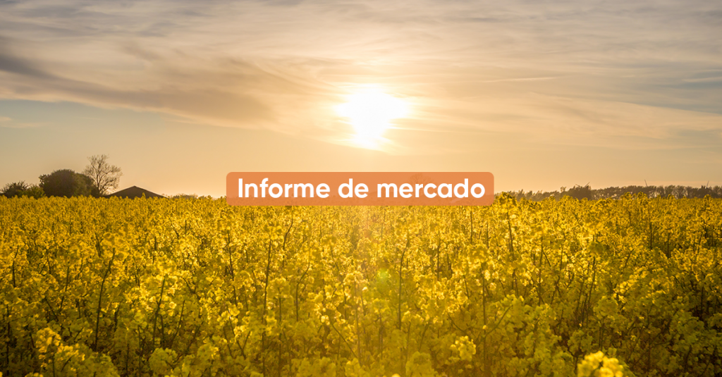 Informe de mercado OCTUBRE 2022