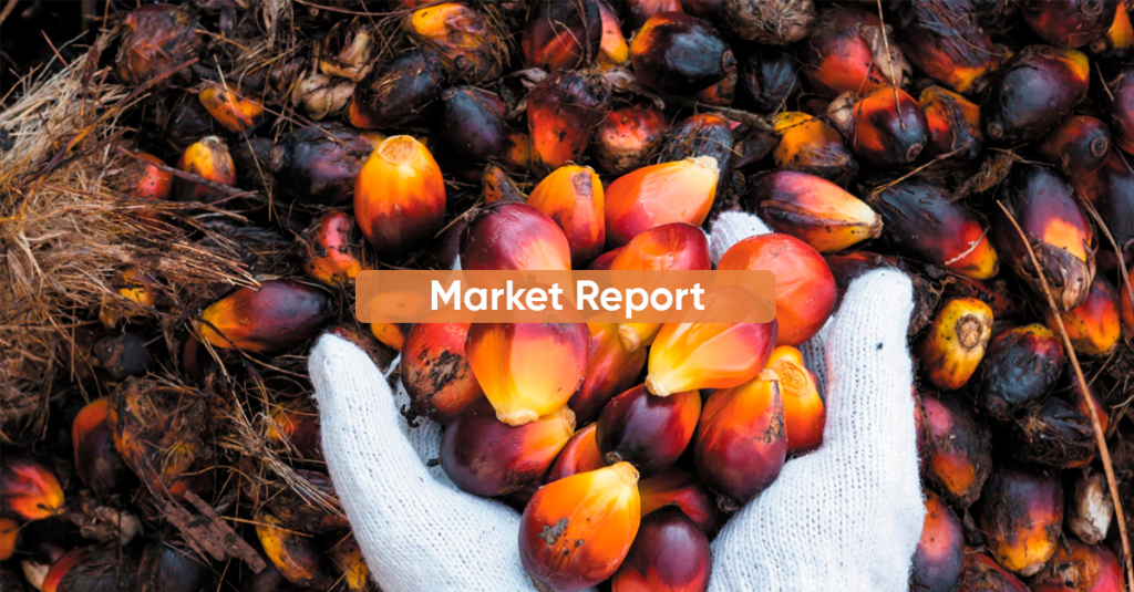 Market report NOVEMBER 2022