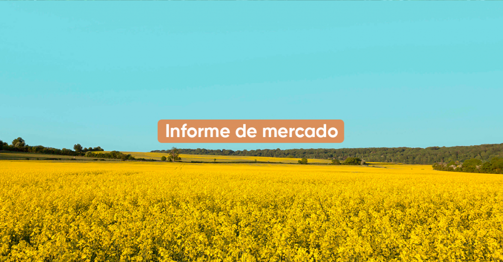 Informe de mercado DICIEMBRE 2022