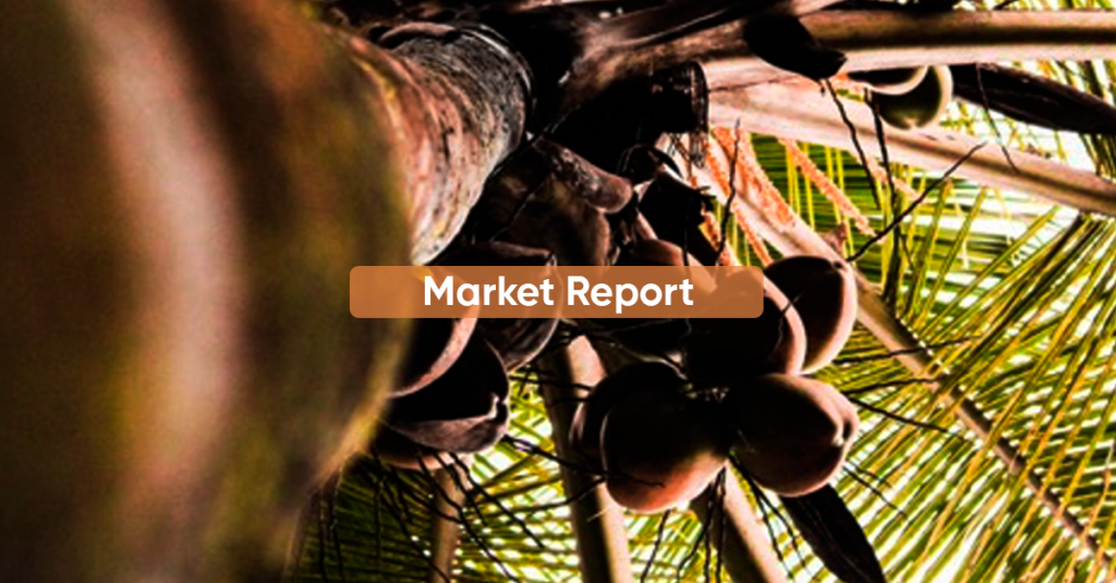 Market report FEBRUARY 2023