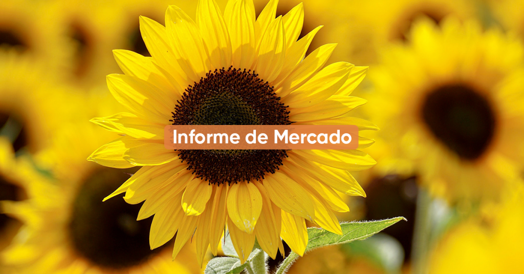 Informe de mercado MARZO 2023