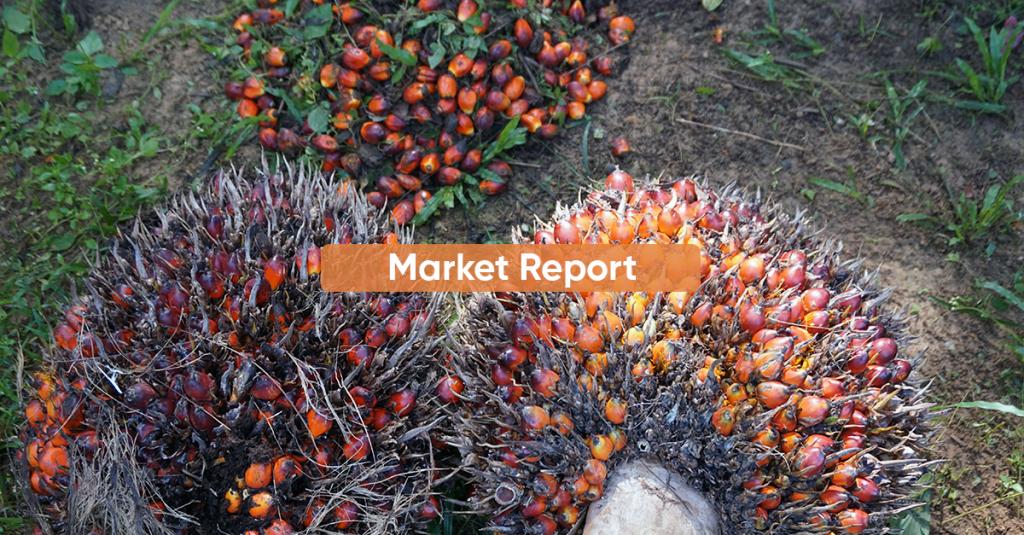Market Report APRIL 2023