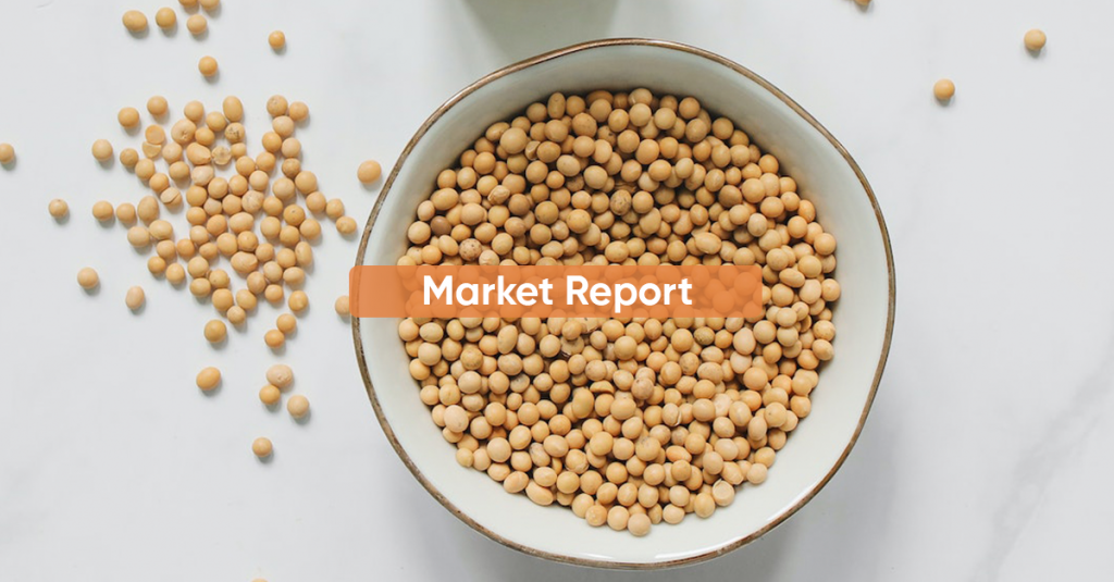 Market Report MAY 2023