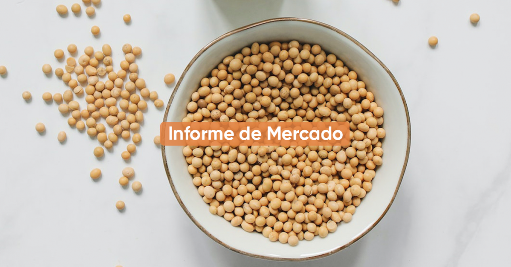 Informe de Mercado MAYO 2023