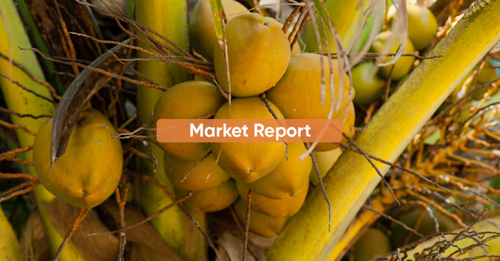 Market Report AUGUST 2023