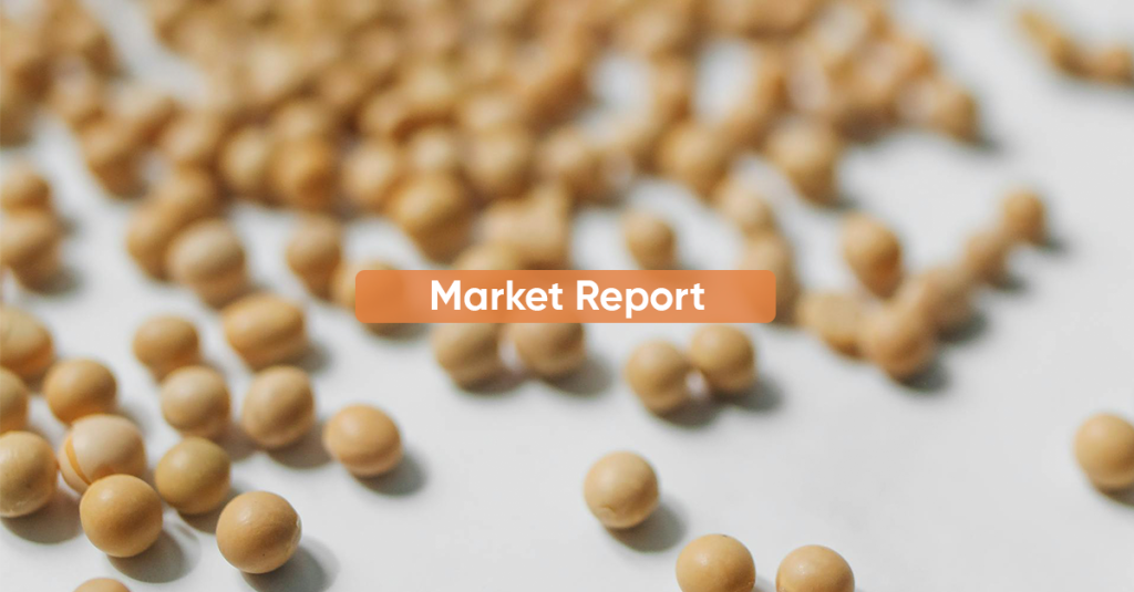 Market Report SECOND HALF OCTOBER 2023