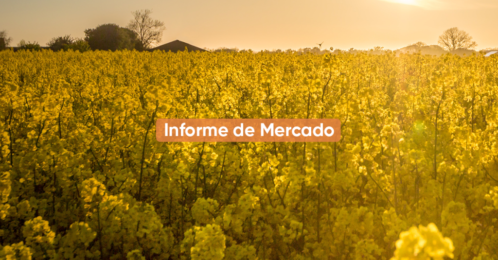 Informe de Mercado ENERO 2024