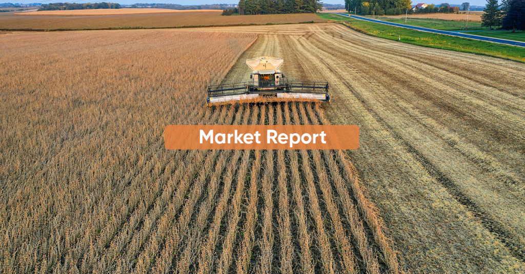 Market Report APRIL 2024