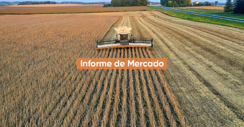 Informe de Mercado ABRIL 2024